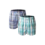 Classic Plaid 2 Pack (Blue White Plaid+Gray Green Plaid)