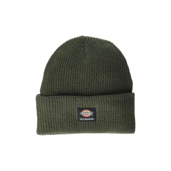 Dickies Acrylic Fiber Beanies Men's Green