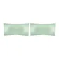 2 Pack (Green)