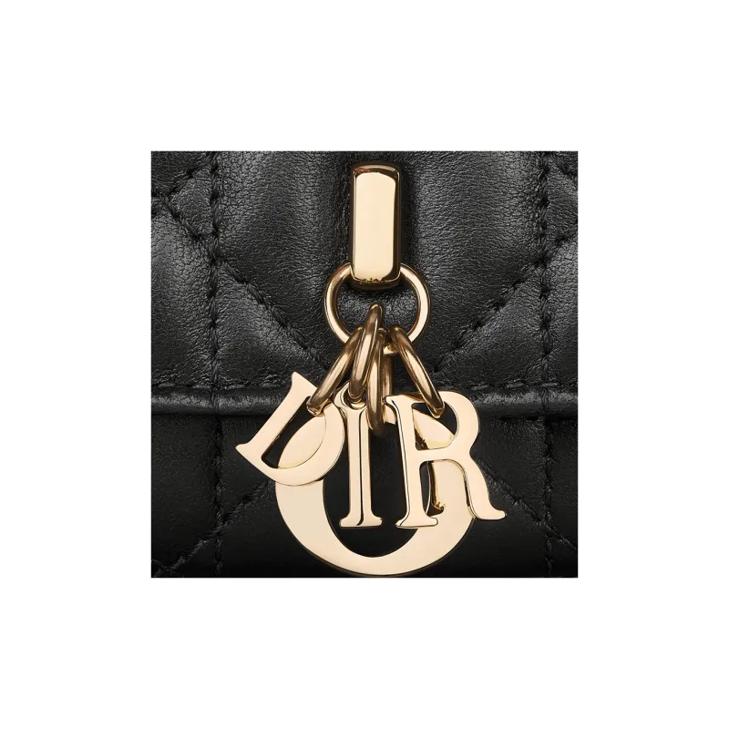 DIOR Lambskin Wallet Regular Women's Black-4