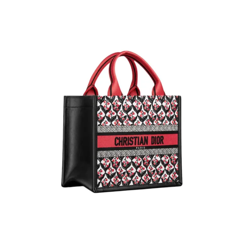 DIOR BookTote Handbags-2