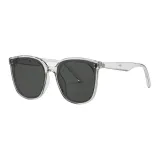 Transparent Gray with Gray Lens