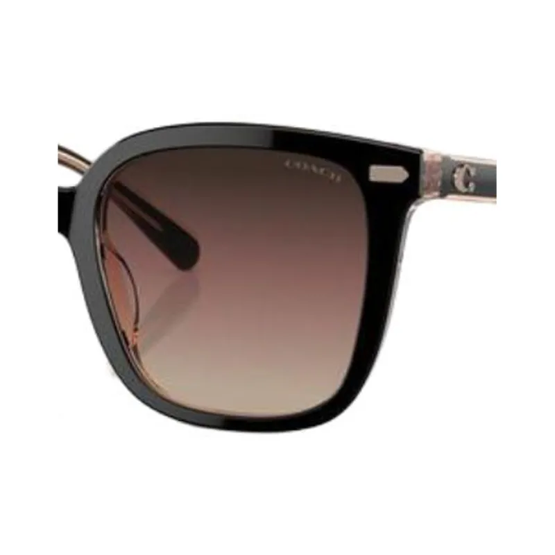 COACH Acetate Irregular Shape Sunglasses Women's Black-2