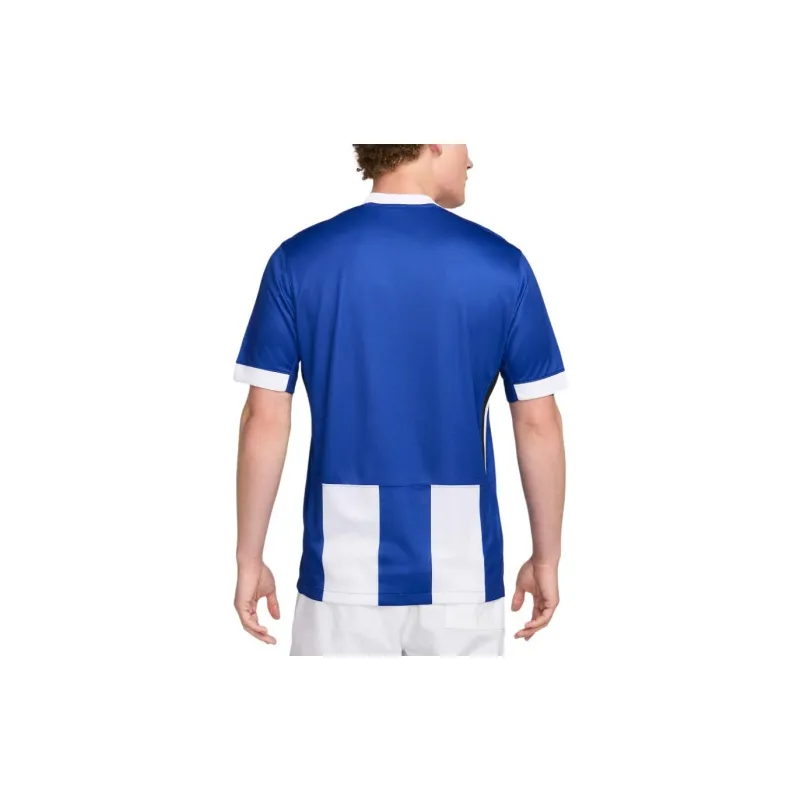 Nike Dri-Fit Hertha BSC 2024/25 Soccer Jerseys Men's Blue White-1
