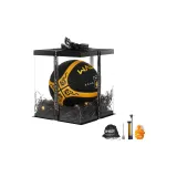 Black Gold Dragon, Transparent Box