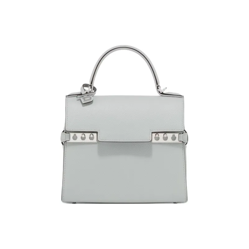 Delvau Tempête Grained Alpina Calfskin Shoulder Bag Crossbody Bag Handbag Small Size Women's Cloud Gray-0