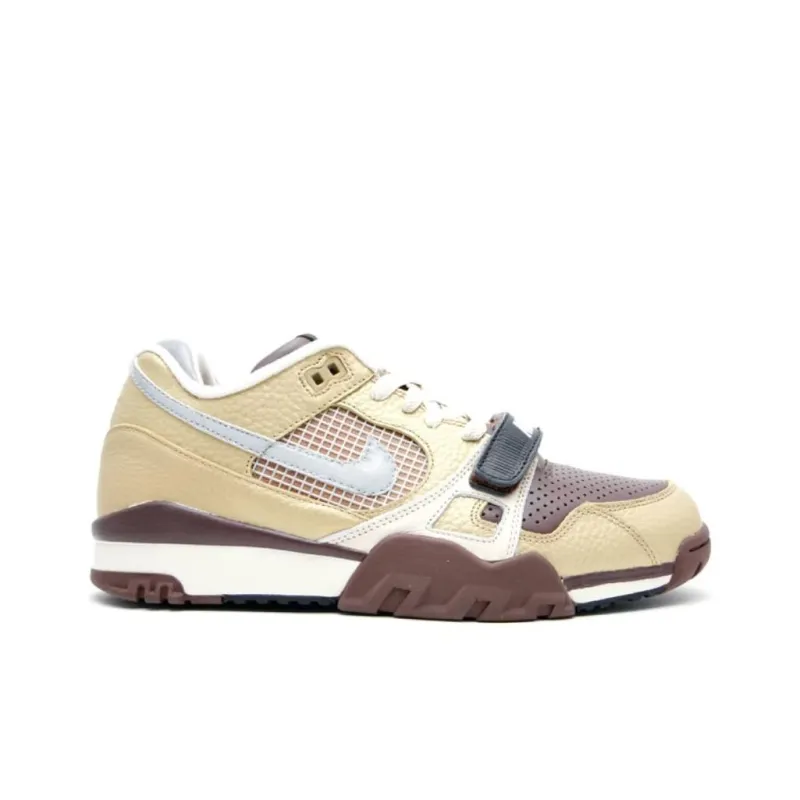 Nike Air Trainer 2 Sb Metallic Gold/Reflect Silver-1