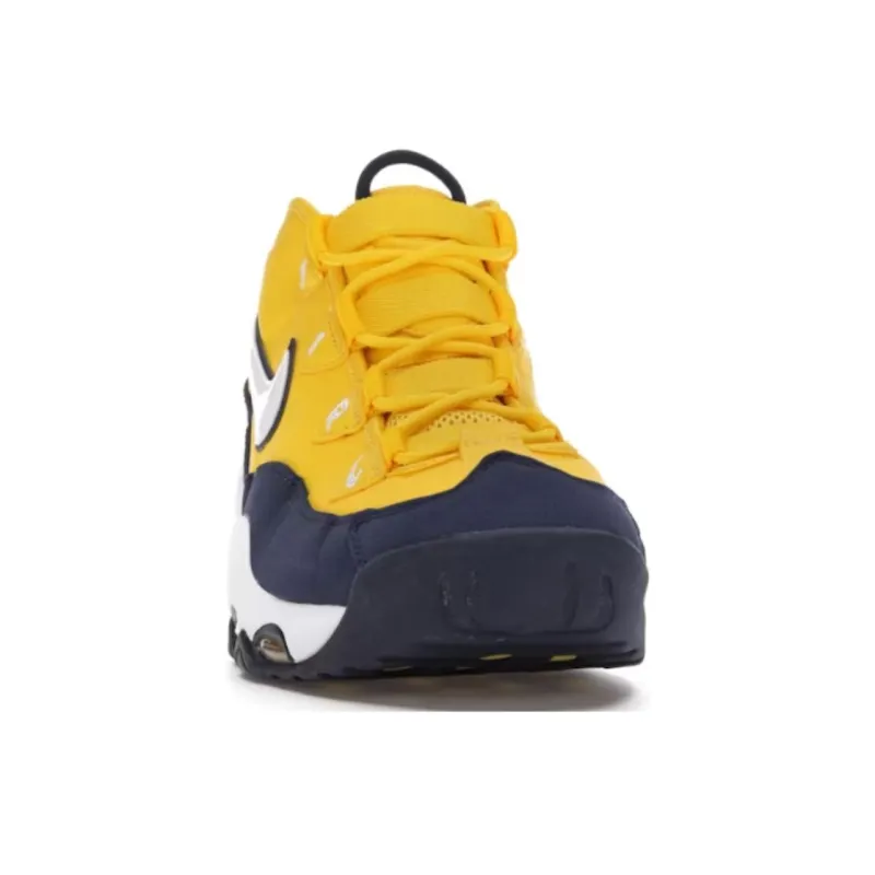 Nike Air Max Tempo Michigan-2