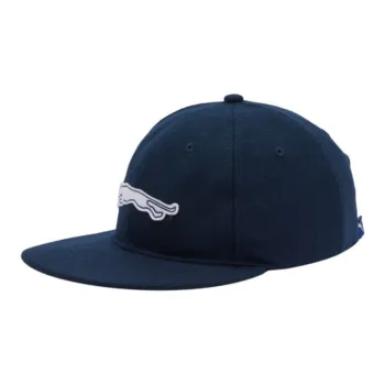 PUMA Wool Baseball Caps Men's Blue
