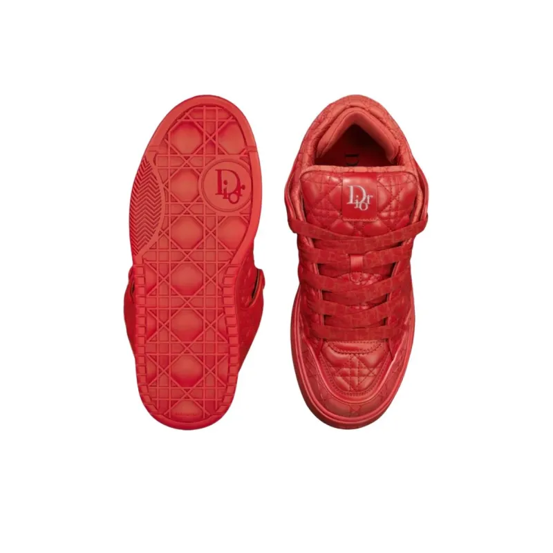 DIOR B9S Puffy Skateboard Shoes Low Top Skateboard Shoes Men's Red-4