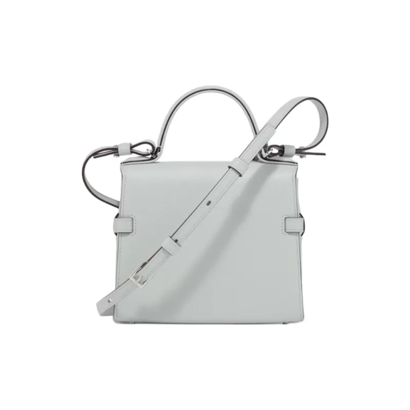 Delvau Tempête Grained Alpina Calfskin Shoulder Bag Crossbody Bag Handbag Small Size Women's Cloud Gray-3