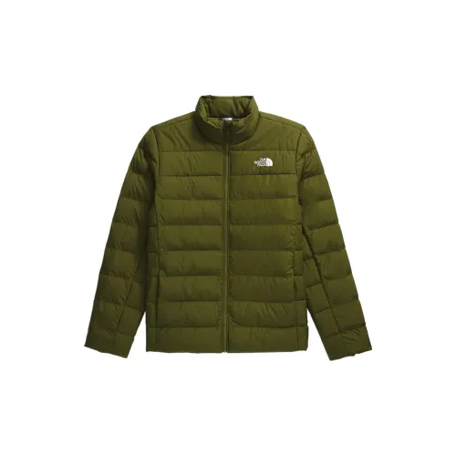 THE NORTH FACE Jackets Men Forest Olive