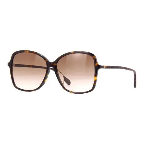 GUCCI Acetate Butterfly Sunglasses Women's Tortoiseshell