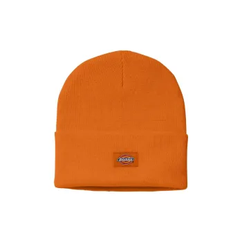 Dickies Acrylic Beanies Men's Orange