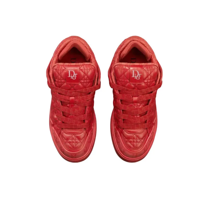 DIOR B9S Puffy Skateboard Shoes Low Top Skateboard Shoes Men's Red-3
