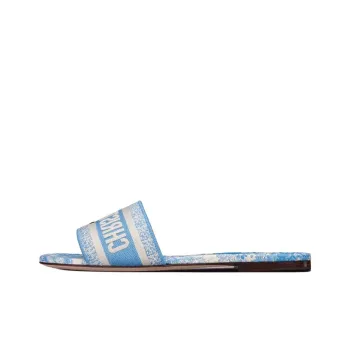 DIOR Dway Slide Slippers Women's Blue White