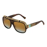 Tortoiseshell