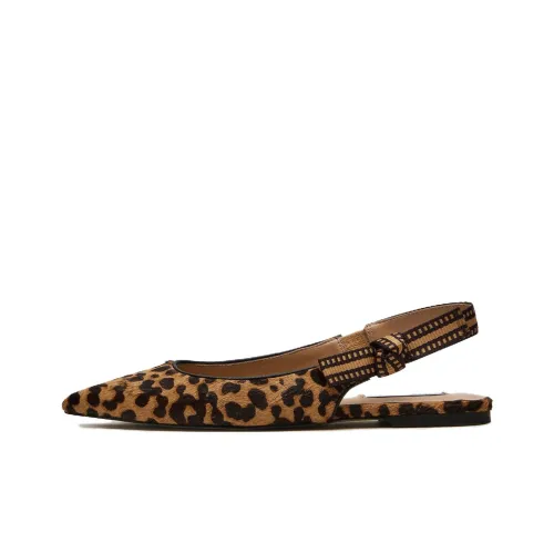STEVE MADDEN Casual Single Shoes Women's Brown