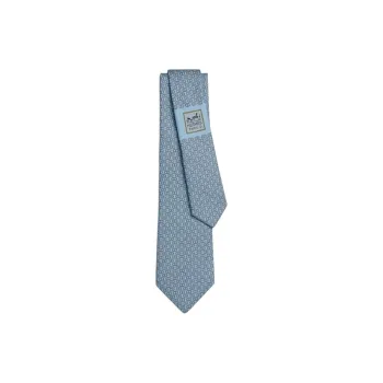 HERMES Silk Ties Men's Light Blue Brown/Red