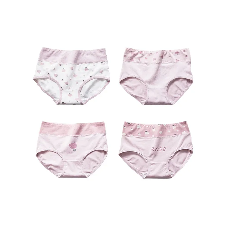 Lanza Underpants Women's 4 Pack-0