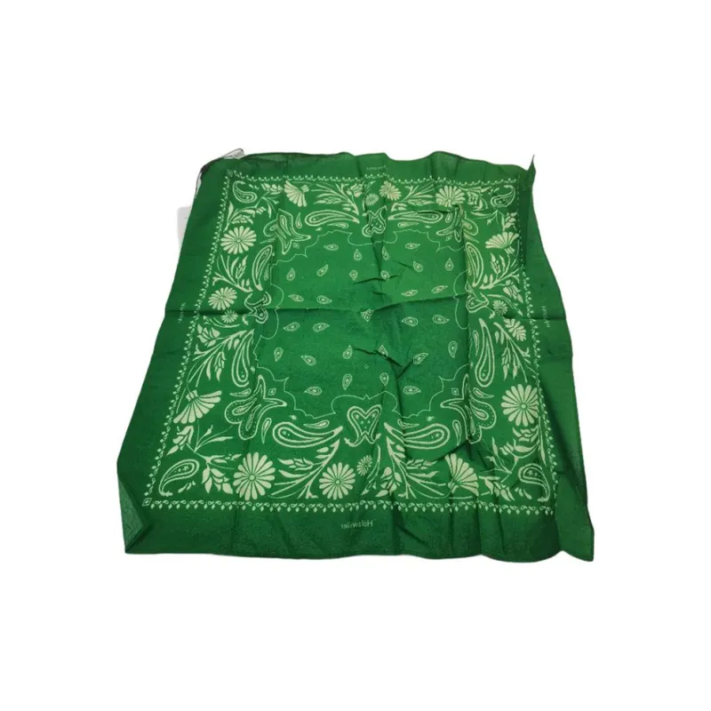 HOLZWEILER Silk Scarves Women's Green-1