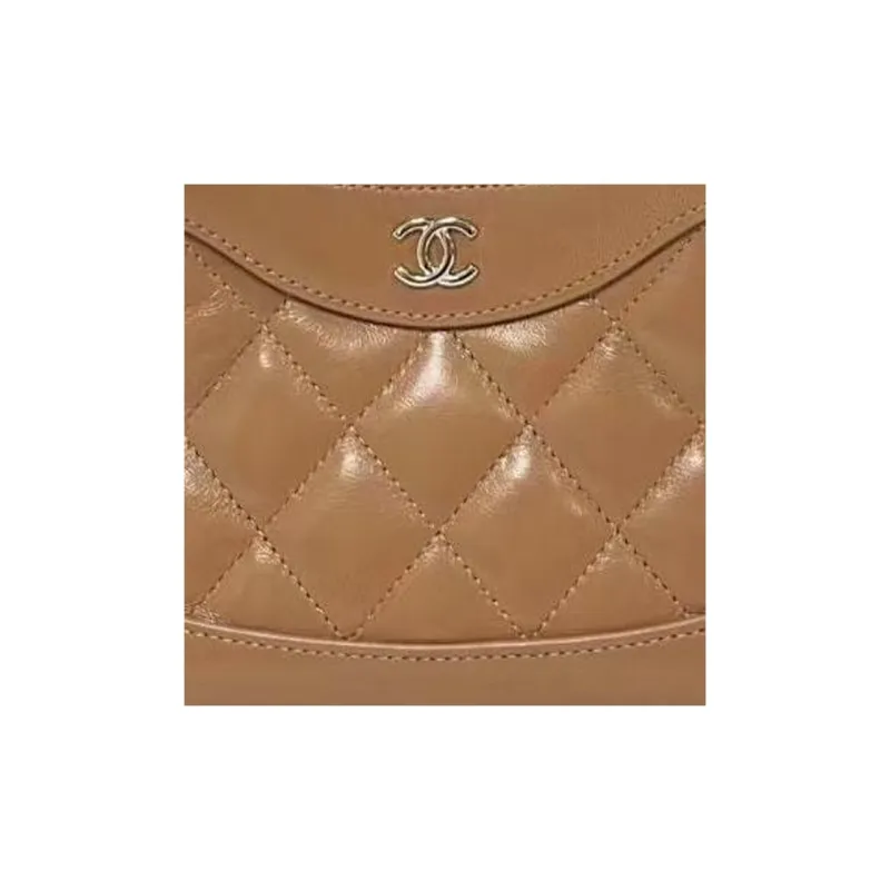 CHANEL Polished Lambskin Handbag, Shoulder Bag, Crossbody Bag Women's Brown-1