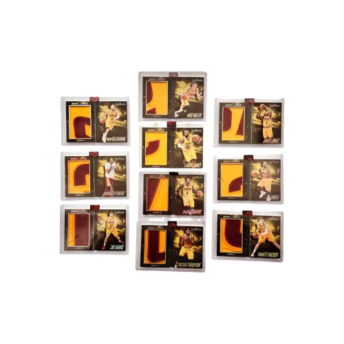 PANINI James Etc. 2015 16 NBA Cavaliers Finals Small Book Patch Violent Cut Full Set Sports Cards 10 Pcs