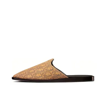 DIOR InDIOR Mule Gold Tone DIOR Oblique Jacquard