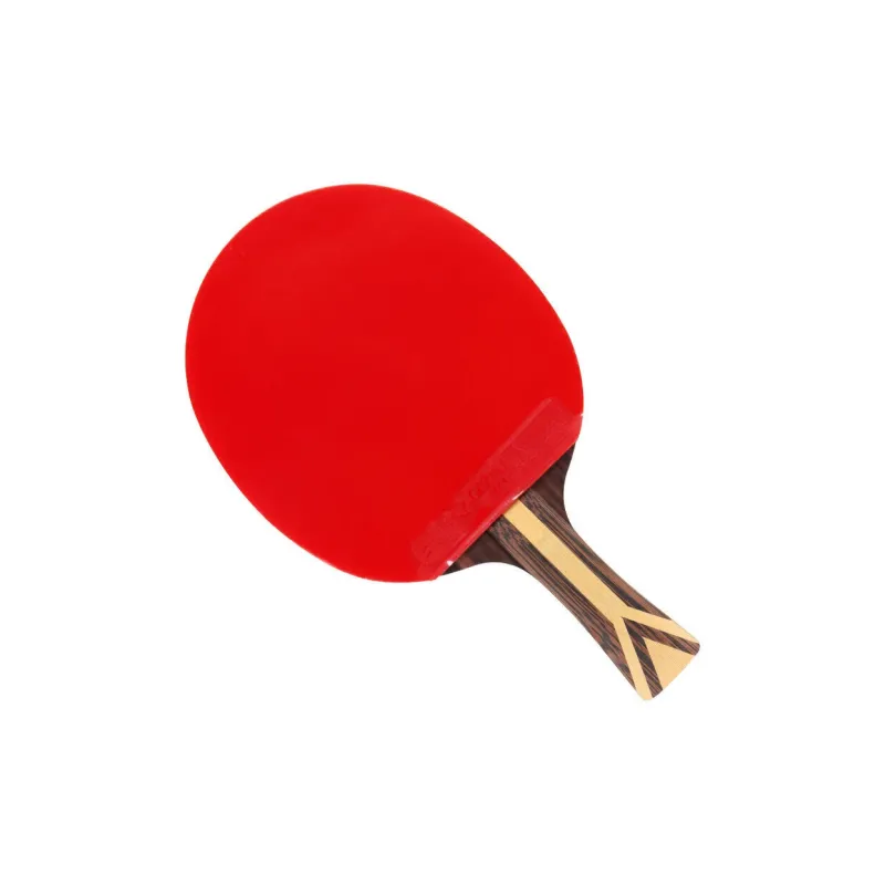 DHS Ping Pong Paddles-1