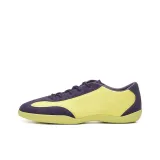 Gravel Yellow / Classical Purple