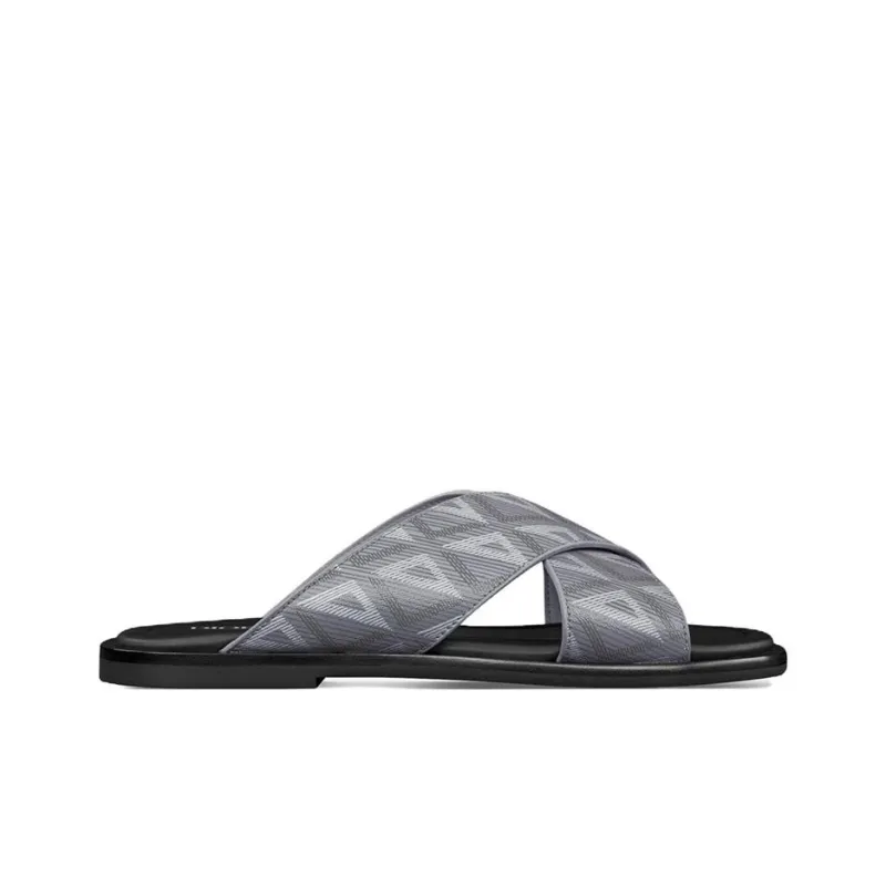 DIOR Alias Slide Slippers Men's Gray-1
