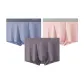 Begonia Pink+Mauve+Gray Blue