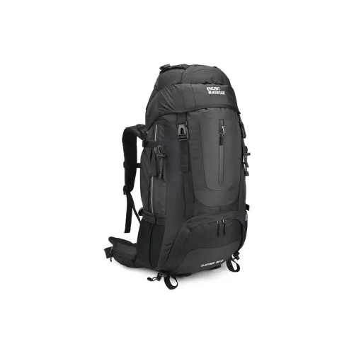 ALPINT MOUNTAIN Backpacks