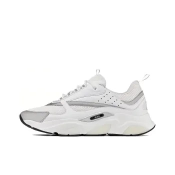 DIOR B22 White Silver