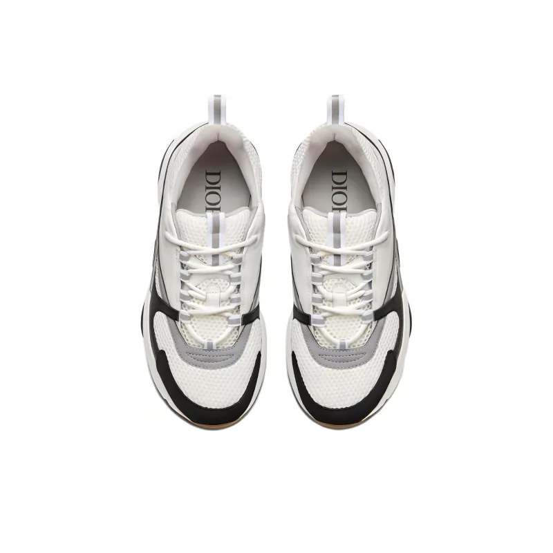 DIOR B22 White Black-4