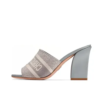 DIOR Dway Slide Slippers Women's Gray