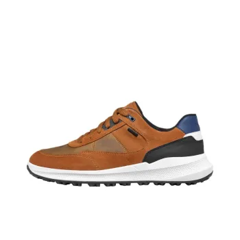 GEOX Abrasion Resistant Low Top Casual Shoes Men's Brown