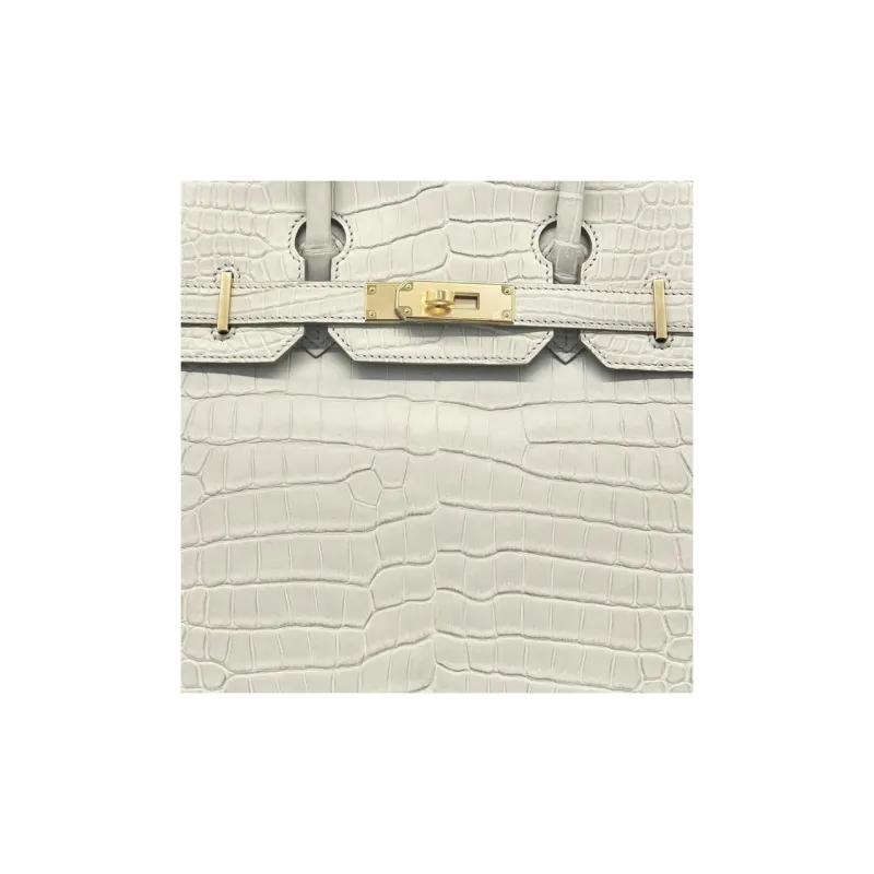 HERMES Birkin Crocodile Leather Birkin Bag Handbags Women's 8L Beton Glacier White-1