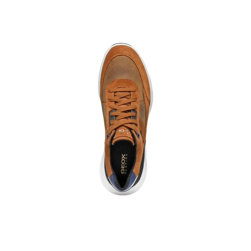 GEOX Abrasion Resistant Low Top Casual Shoes Men's Brown-3