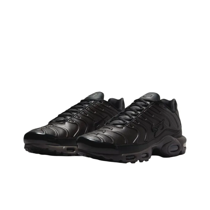 Nike Air Max Plus Premium Paris-2