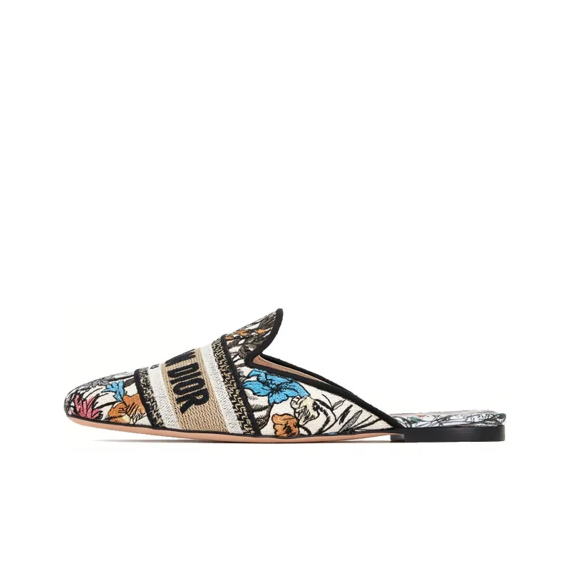DIOR Off Embroidered Women's Casual Shoes Women's Multicolor-0
