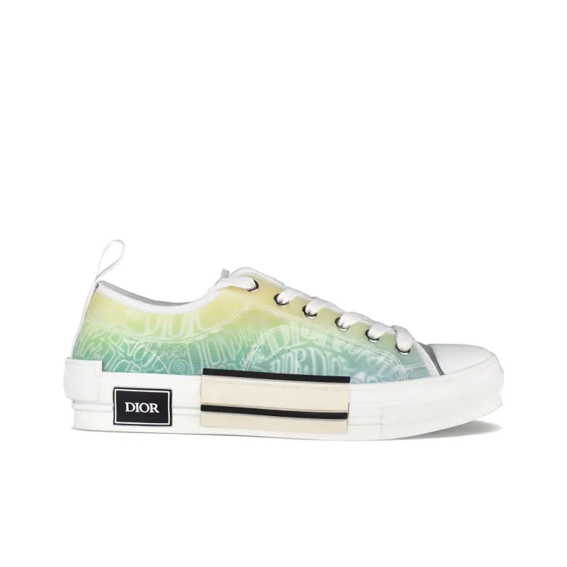 DIOR And Shawn B23 Low Top-1