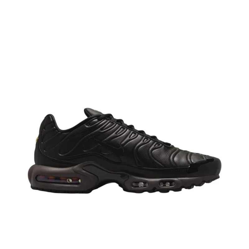 Nike Air Max Plus Premium Paris-1