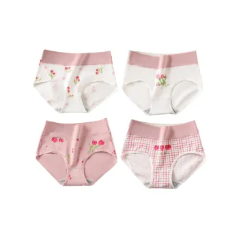 Lanza Underpants Women's 4 Pack