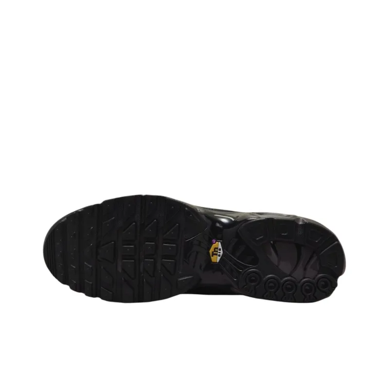 Nike Air Max Plus Premium Paris-4