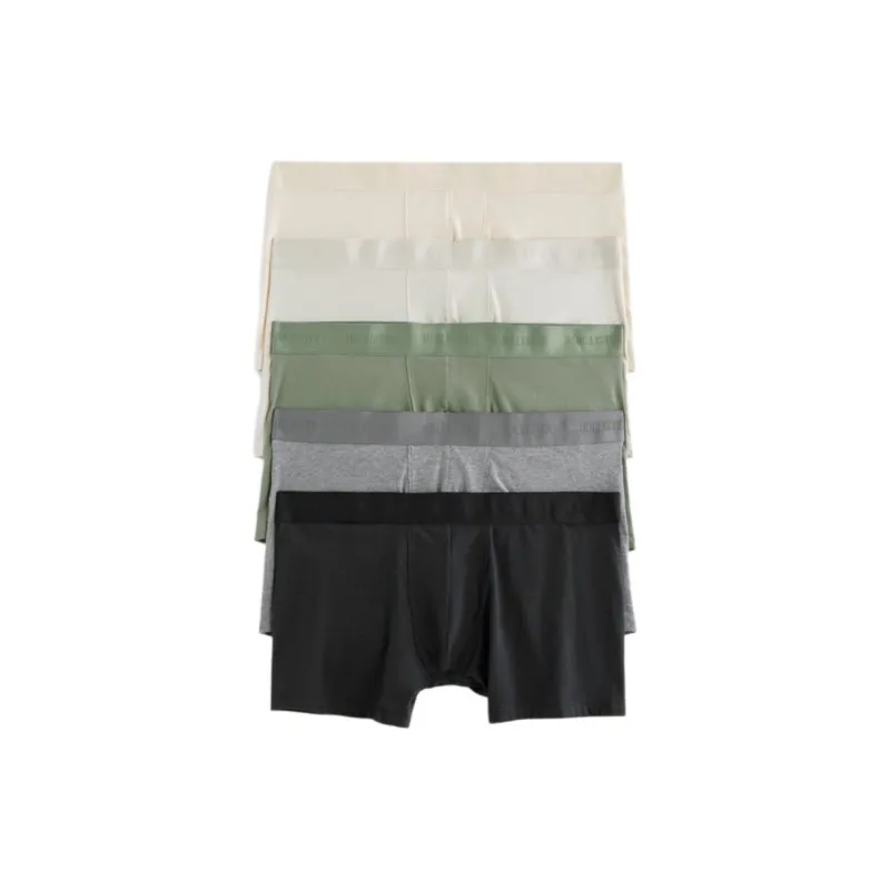 Hollister Underpants Men's 5 Pack-0