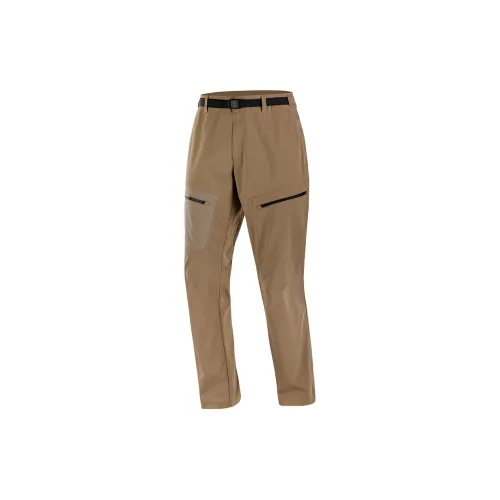 SALOMON OUTERPATH Cargo Pants Men Mushroom Brown