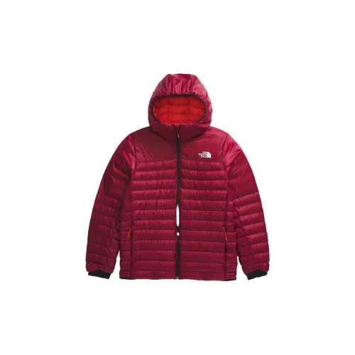 THE NORTH FACE Jackets Men Sweet Potato Root