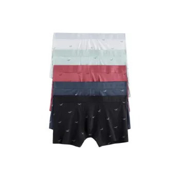 Hollister Underpants Men's 5 Pack