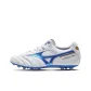 White/Blue/Gold